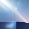 White flower pearl tassel earrings are fashionable and elegant earrings for ladies details Picture